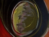 seed-pod-painted-live