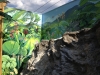 Hawaii-Hot-Tub-Gardens-Mary-Thiefels