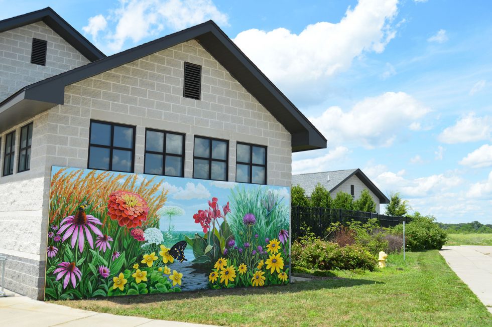 Rolling Hills County Park Washtenaw County, MI TreeTown Murals